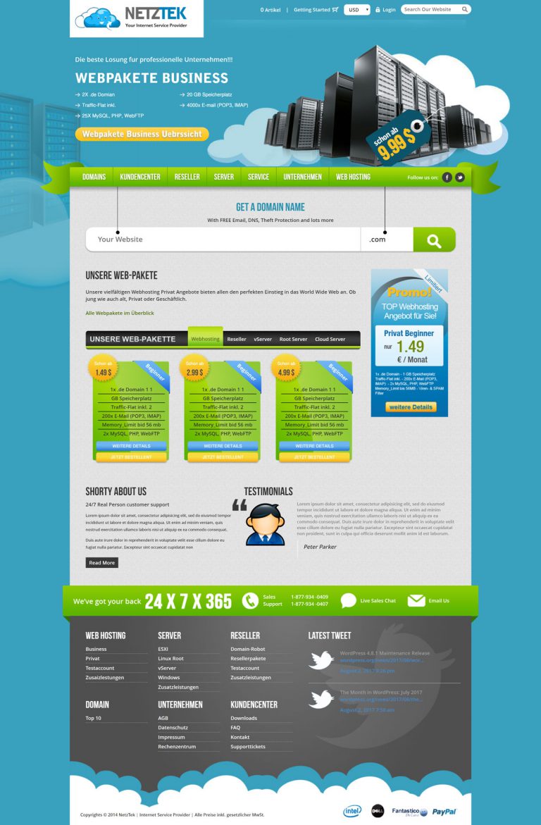 WordPress Domain & Hosting Service Theme using Bootstrap (Desktop View)